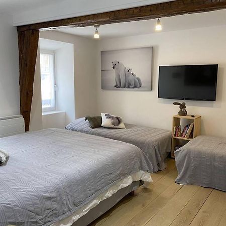 Au Grand Duc Apartment Cauterets Luaran gambar