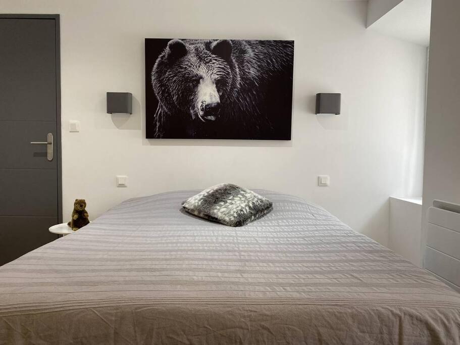 Au Grand Duc Apartment Cauterets Luaran gambar